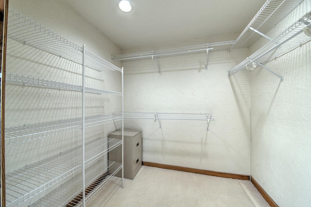 8170 Lake Ridge Dr, Burr Ridge, IL 60527 - walk in closet with carpet