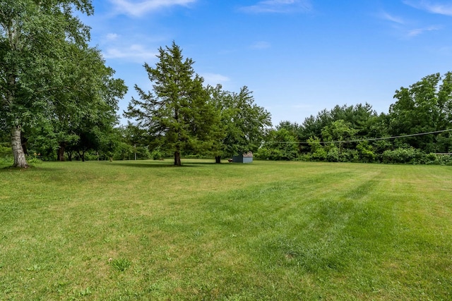 6650 Happy Acres Rd, Rockford, IL 61101 - view of green lawn with a storage unit