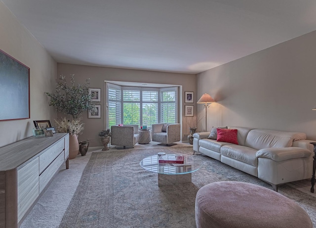 2300 Windsor Mall Unit 2G, Park Ridge, IL 60068 - view of carpeted living area
