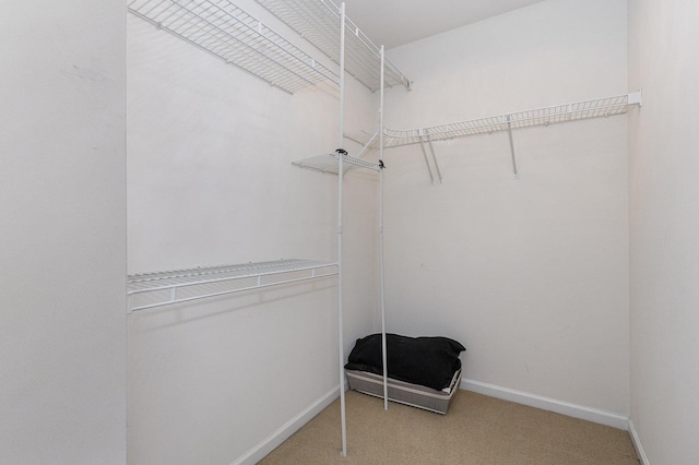 1617 Fieldstone Dr S Unit 13-1, Shorewood, IL 60404 - spacious closet featuring carpet