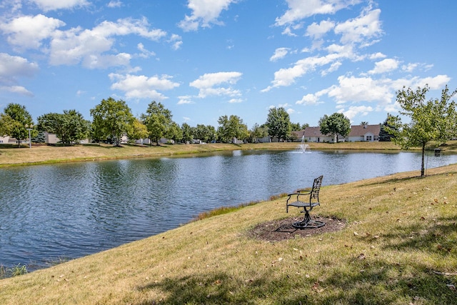 1617 Fieldstone Dr S Unit 13-1, Shorewood, IL 60404 - water view