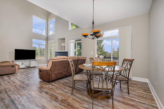 1617 Fieldstone Dr S Unit 13-1, Shorewood, IL 60404 - dining room featuring a chandelier and wood finished floors