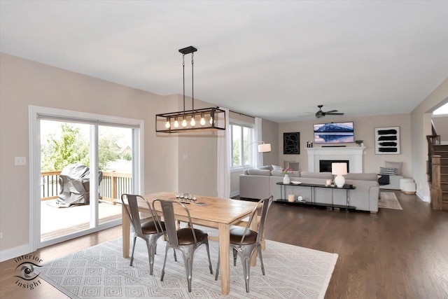 23008 Anna Ln, Frankfort, IL 60423 - dining space with a ceiling fan, plenty of natural light, dark wood-style flooring, and a fireplace