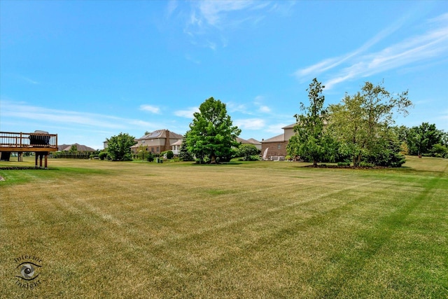 23008 Anna Ln, Frankfort, IL 60423 - view of green lawn