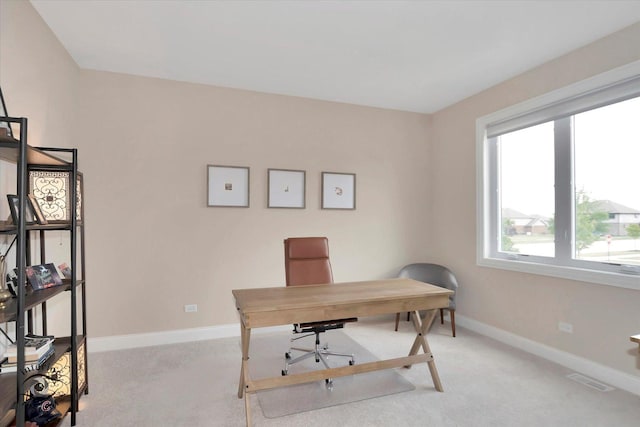 23008 Anna Ln, Frankfort, IL 60423 - office space with light colored carpet