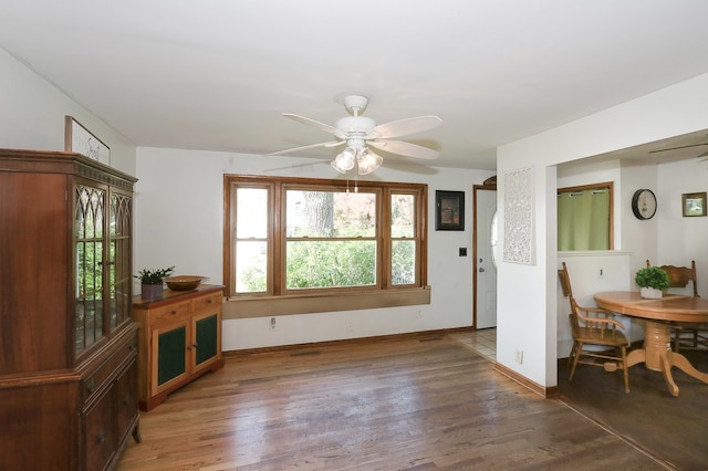 511 Crystal Ave, South Elgin, IL 60177 - living area featuring ceiling fan and wood finished floors
