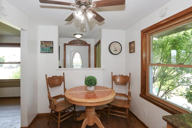 511 Crystal Ave, South Elgin, IL 60177 - dining room featuring plenty of natural light, ceiling fan, and wood finished floors