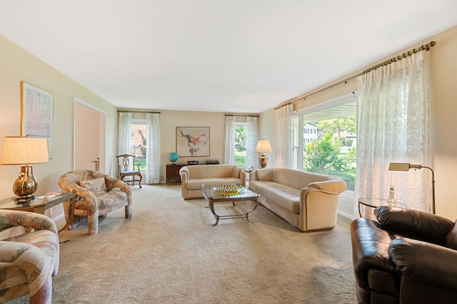3930 Bordeaux Ct, Northbrook, IL 60062 - view of carpeted living room