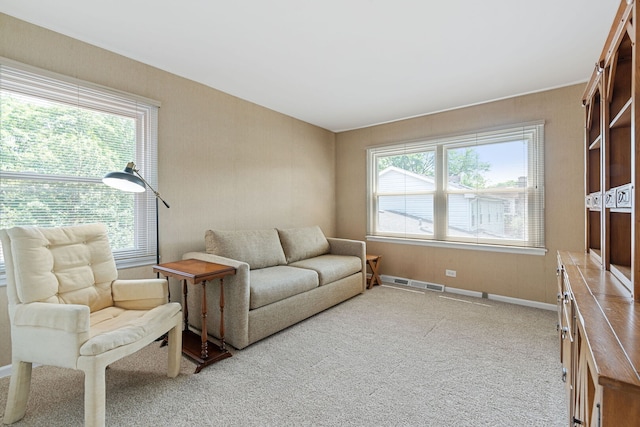 3930 Bordeaux Ct, Northbrook, IL 60062 - living area with light colored carpet and baseboards