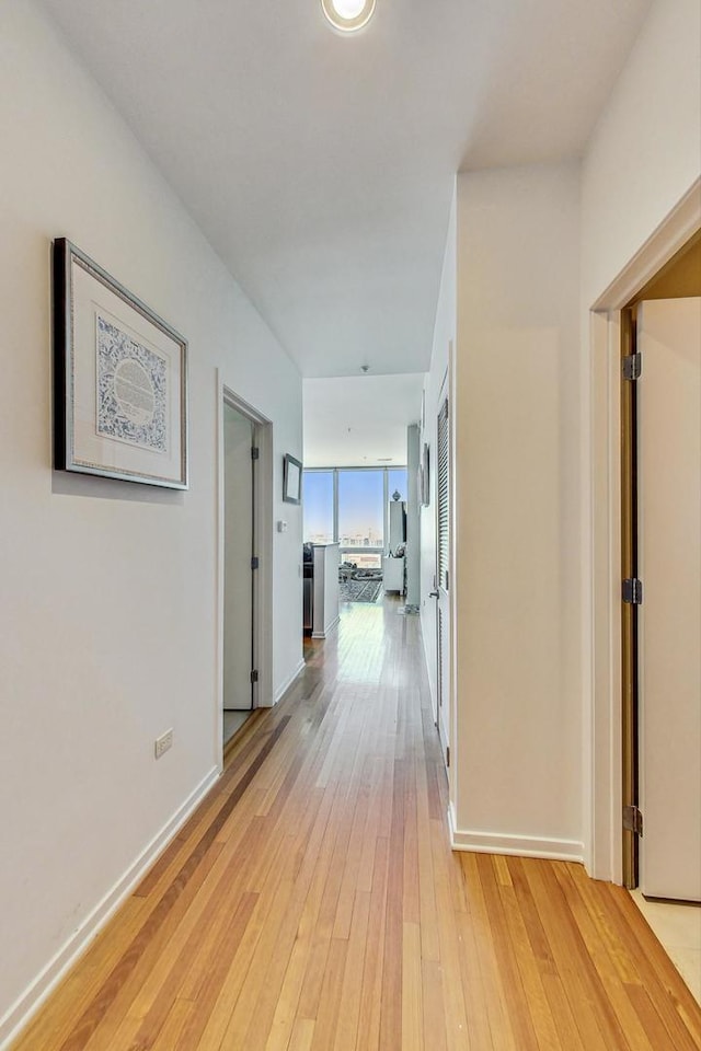 500 W Superior St Unit 1804, Chicago, IL 60654 - hallway featuring light wood finished floors and baseboards
