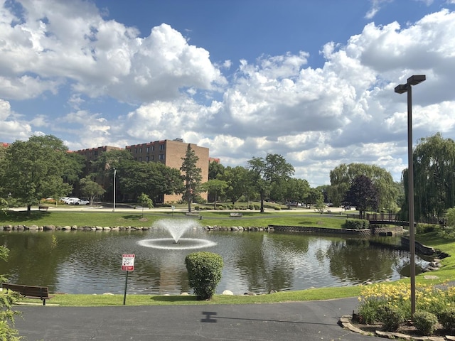 1103 S Hunt Club Dr Unit 125, Mount Prospect, IL 60056 - water view