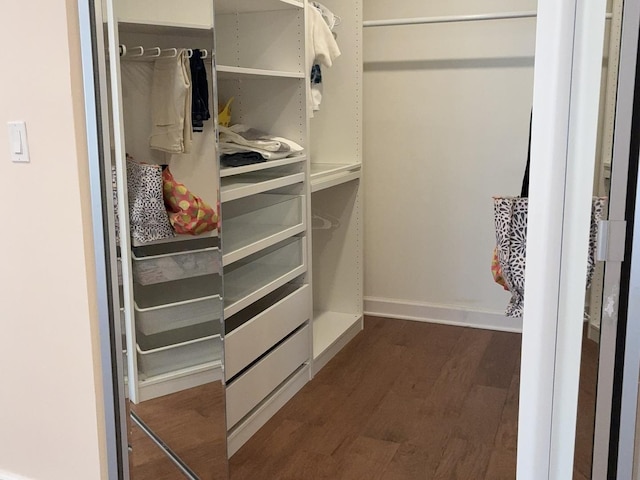 1103 S Hunt Club Dr Unit 125, Mount Prospect, IL 60056 - walk in closet with dark wood-style floors