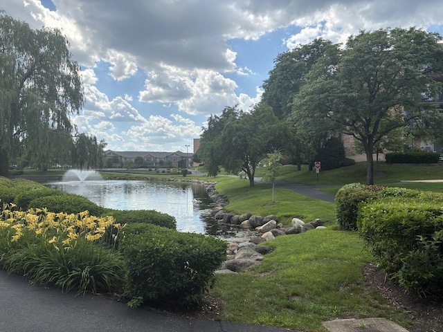 1103 S Hunt Club Dr Unit 125, Mount Prospect, IL 60056 - water view