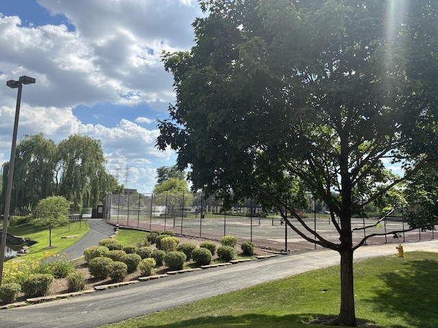1103 S Hunt Club Dr Unit 125, Mount Prospect, IL 60056 - view of asphalt road featuring street lighting