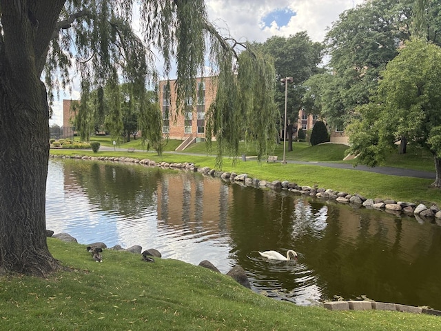 1103 S Hunt Club Dr Unit 125, Mount Prospect, IL 60056 - water view
