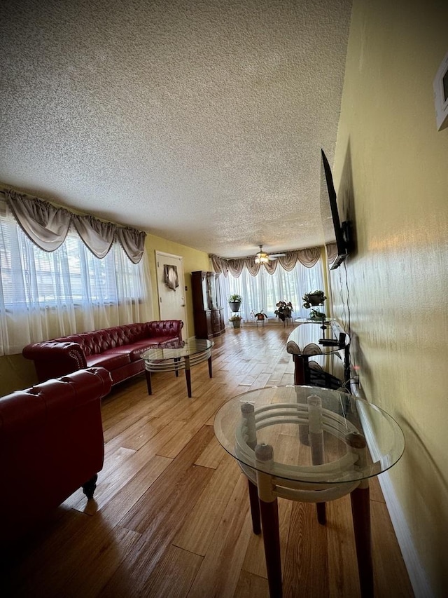 15235 Cottage Grove Ave, Dolton, IL 60419 - living area with plenty of natural light, a textured ceiling, and wood finished floors