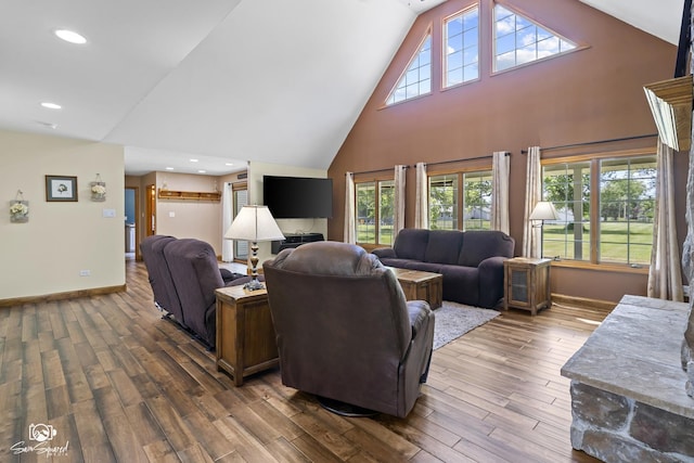 131 E Main St, Essex, IL 60935 - living room featuring wood finished floors and high vaulted ceiling