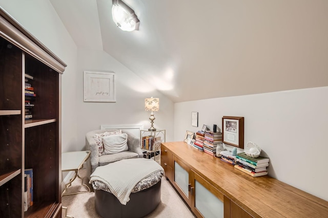 12723 Hawks Bill Ln, Plainfield, IL 60585 - living area with vaulted ceiling
