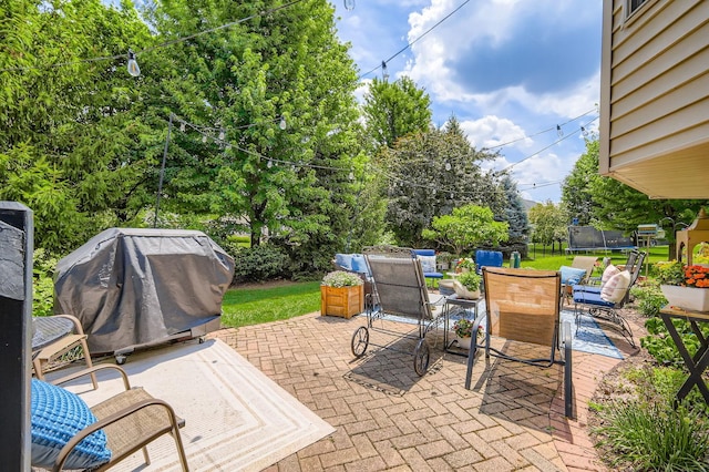 12723 Hawks Bill Ln, Plainfield, IL 60585 - view of patio with a trampoline and area for grilling