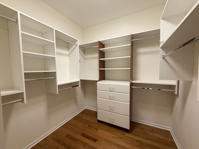 26159 N Hill Ave, Wauconda, IL 60084 - spacious closet featuring dark wood-type flooring