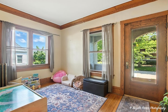 1100 N Hart St, Harvard, IL 60033 - playroom with plenty of natural light and light wood-style floors