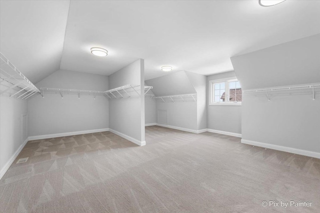 2814 Hapner Way, Batavia, IL 60510 - spacious closet featuring carpet floors and lofted ceiling