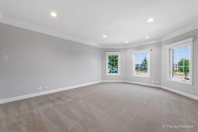 2814 Hapner Way, Batavia, IL 60510 - spare room featuring crown molding, carpet, and recessed lighting