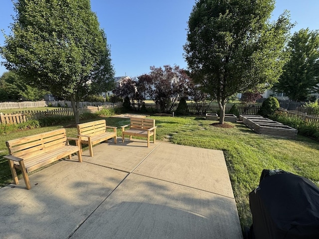 189 E Lark Ave, Cortland, IL 60112 - view of patio featuring a vegetable garden