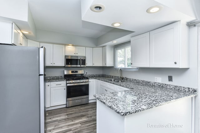 450 E Briarcliff Rd, Bolingbrook, IL 60440 - kitchen with stainless steel appliances, a peninsula, white cabinets, wood finished floors, and light stone countertops