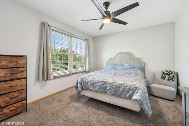 10332 Somerset Ln, Huntley, IL 60142 - photo 20