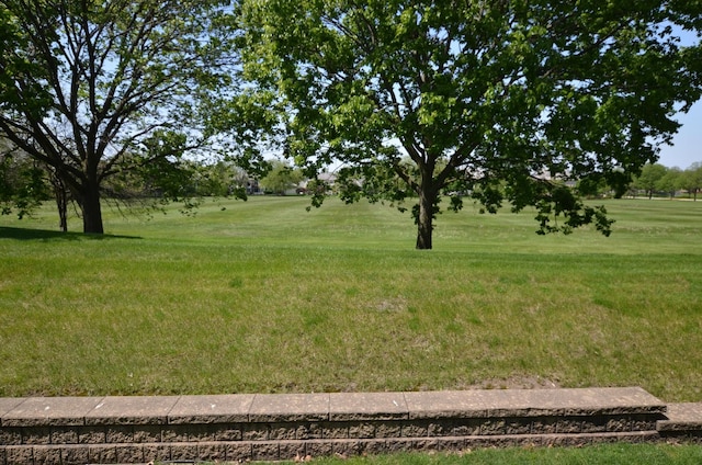 1211 Townes Cir, Aurora, IL 60502 - photo 4