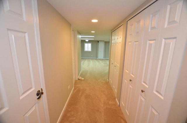 1211 Townes Cir, Aurora, IL 60502 - photo 48