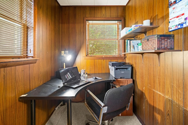 3717 W High St, Mchenry, IL 60050 - office with wooden walls and carpet floors