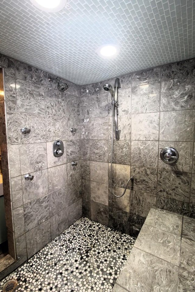 1906 Green Bay Rd, Zion, IL 60099 - bathroom with tiled shower