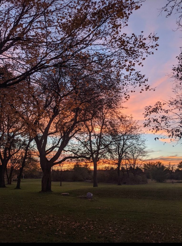 1906 Green Bay Rd, Zion, IL 60099 - yard at dusk with a yard