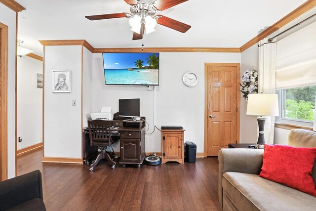 240 Garfield Ave, Lasalle, IL 61301 - photo 8