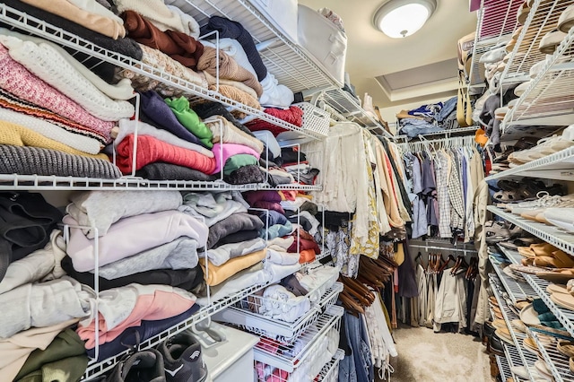 12740 Hawks Bill Ln, Plainfield, IL 60585 - walk in closet with carpet flooring