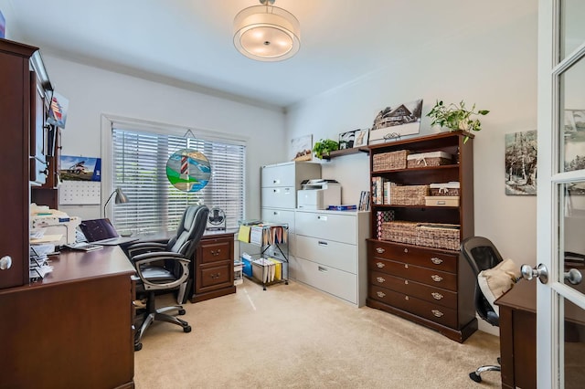 12740 Hawks Bill Ln, Plainfield, IL 60585 - office featuring light colored carpet
