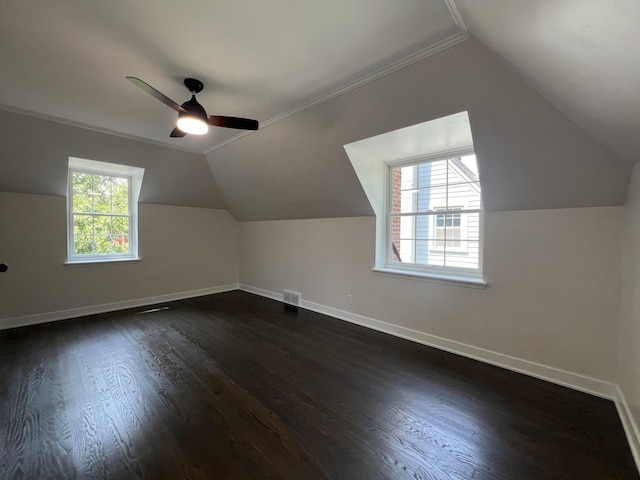 909 N Waiola Ave, La Grange Park, IL 60526 - bonus room featuring lofted ceiling, a ceiling fan, and dark wood finished floors
