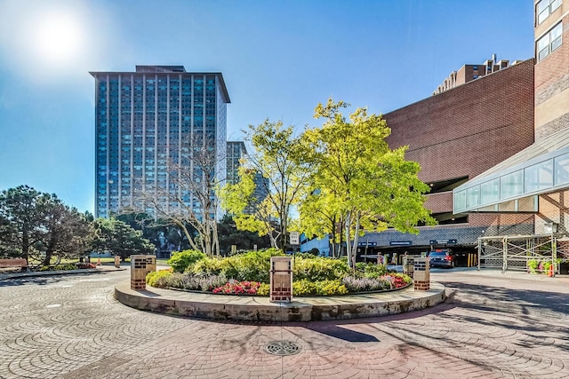 3660 N Lake Shore Dr Unit 3304, Chicago, IL 60613 - view of community