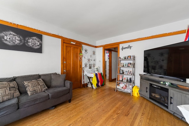 5121 W Henderson Ave, Chicago, IL 60641 - living room featuring light wood-type flooring