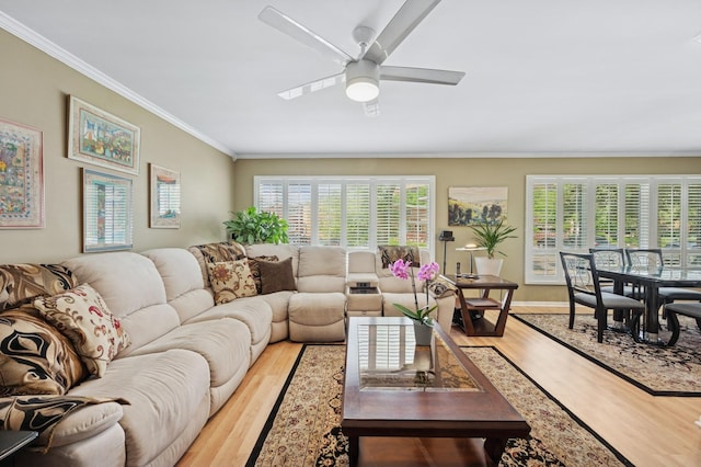 9519 Kolmar Ave, Skokie, IL 60076 - living room with crown molding, light wood-style floors, and ceiling fan