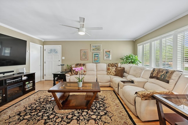 9519 Kolmar Ave, Skokie, IL 60076 - living room with ornamental molding, ceiling fan, and light wood-style flooring