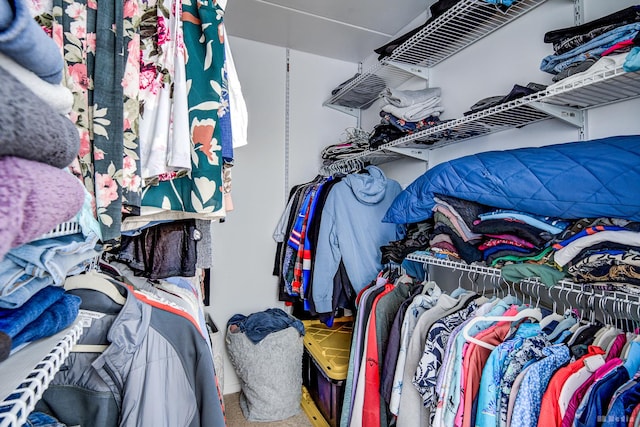 14620 Scarborough Ct Unit M2, Oak Forest, IL 60452 - walk in closet with carpet flooring