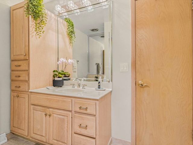 922 S School St, Mount Prospect, IL 60056 - bathroom featuring vanity