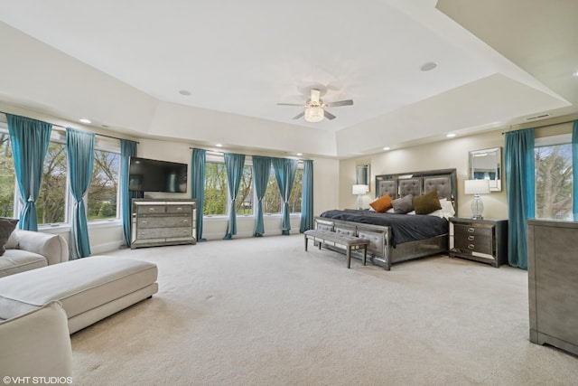 32W634 Oak Lawn Farm Rd, Wayne, IL 60184 - bedroom with carpet floors, recessed lighting, and a raised ceiling