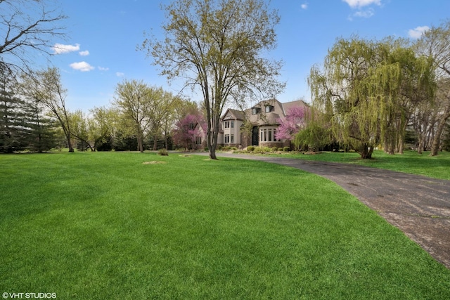 32W634 Oak Lawn Farm Rd, Wayne, IL 60184 - view of front of home featuring a front yard