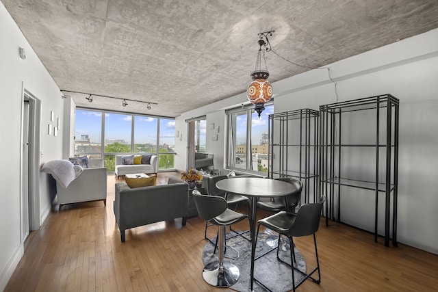 1845 S Michigan Ave Unit 701, Chicago, IL 60616 - dining area featuring track lighting, hardwood / wood-style flooring, and plenty of natural light