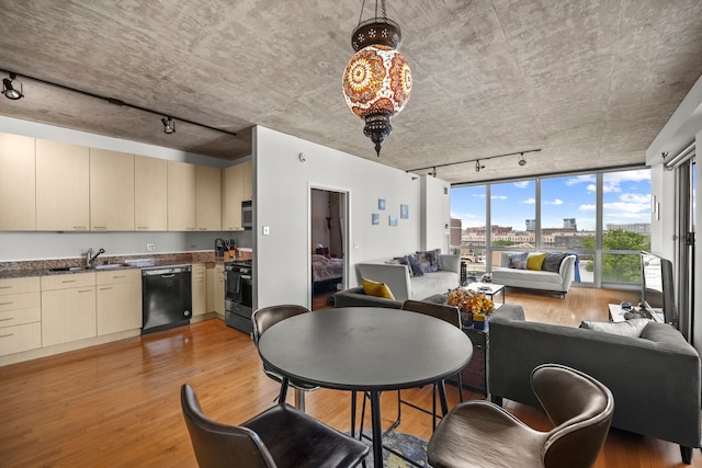 1845 S Michigan Ave Unit 701, Chicago, IL 60616 - kitchen featuring rail lighting, appliances with stainless steel finishes, open floor plan, light wood-style flooring, and cream cabinets