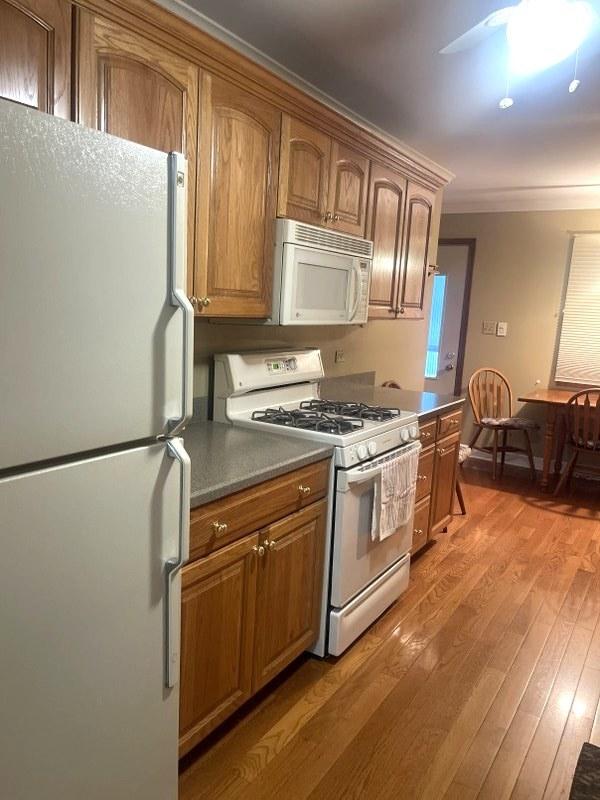 16156 S Serenity Dr, Plainfield, IL 60586 - photo 10